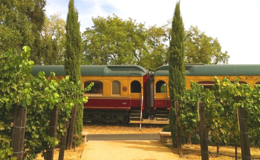 wine-train through-vine-in-napa-valley.JPG